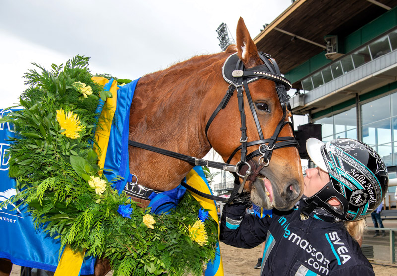 Tell´s Vinio och Nellie Norsell, vinnare av Svenskt Ponnytravderby kat B