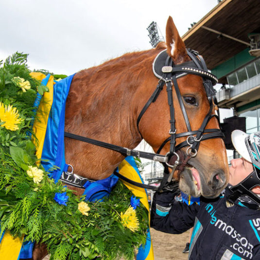 Tell´s Vinio och Nellie Norsell, vinnare av Svenskt Ponnytravderby kat B